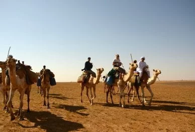 Challenging expeditions - Sudan Bayuda Desert Trek