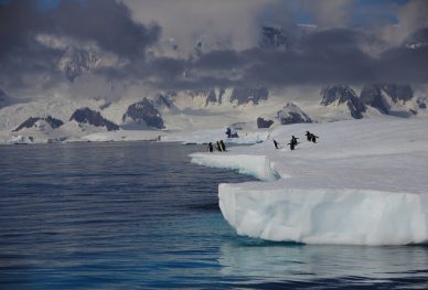 Antarctica 6 Tecla