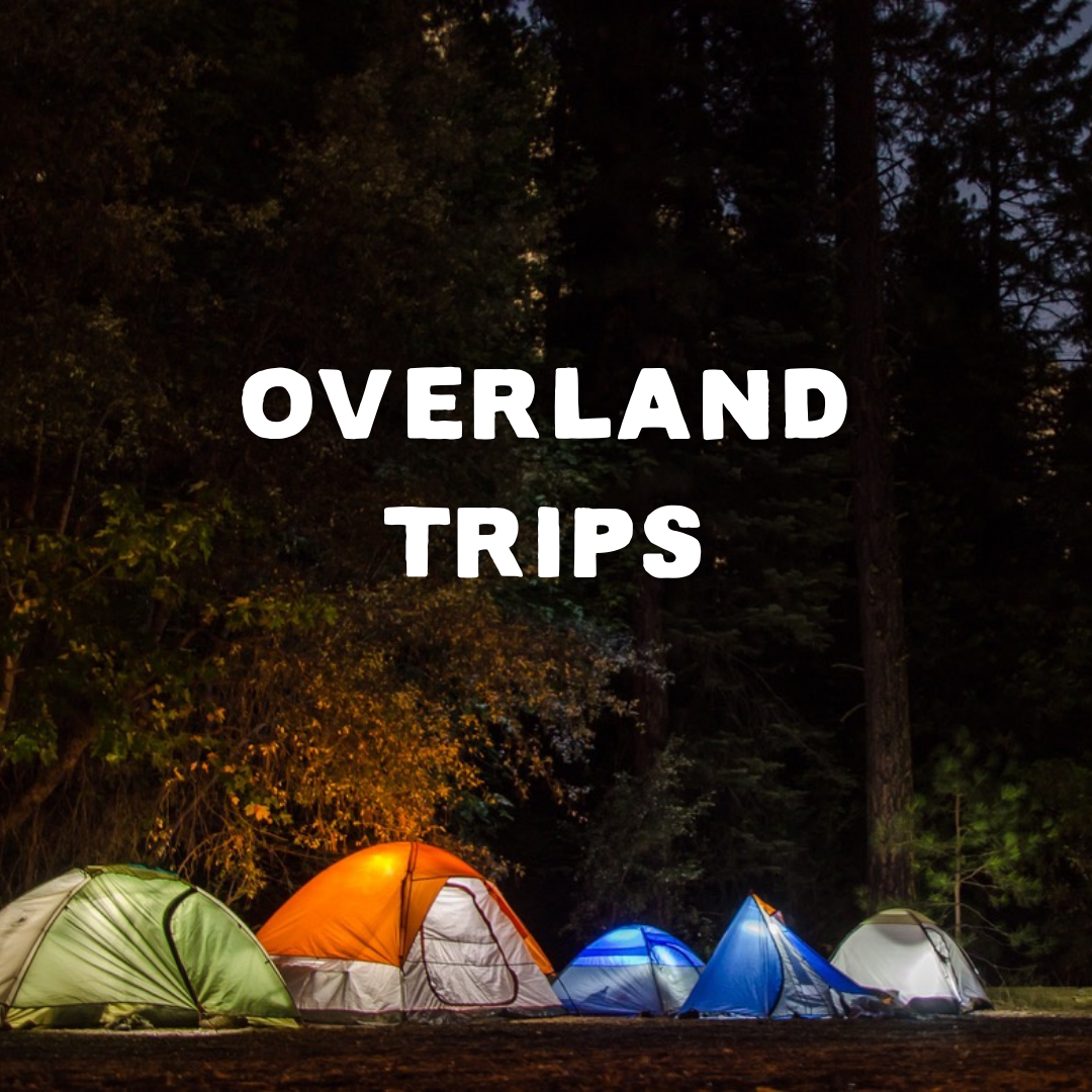 Tents lit up against a night sky and the text :Overland Trips.
