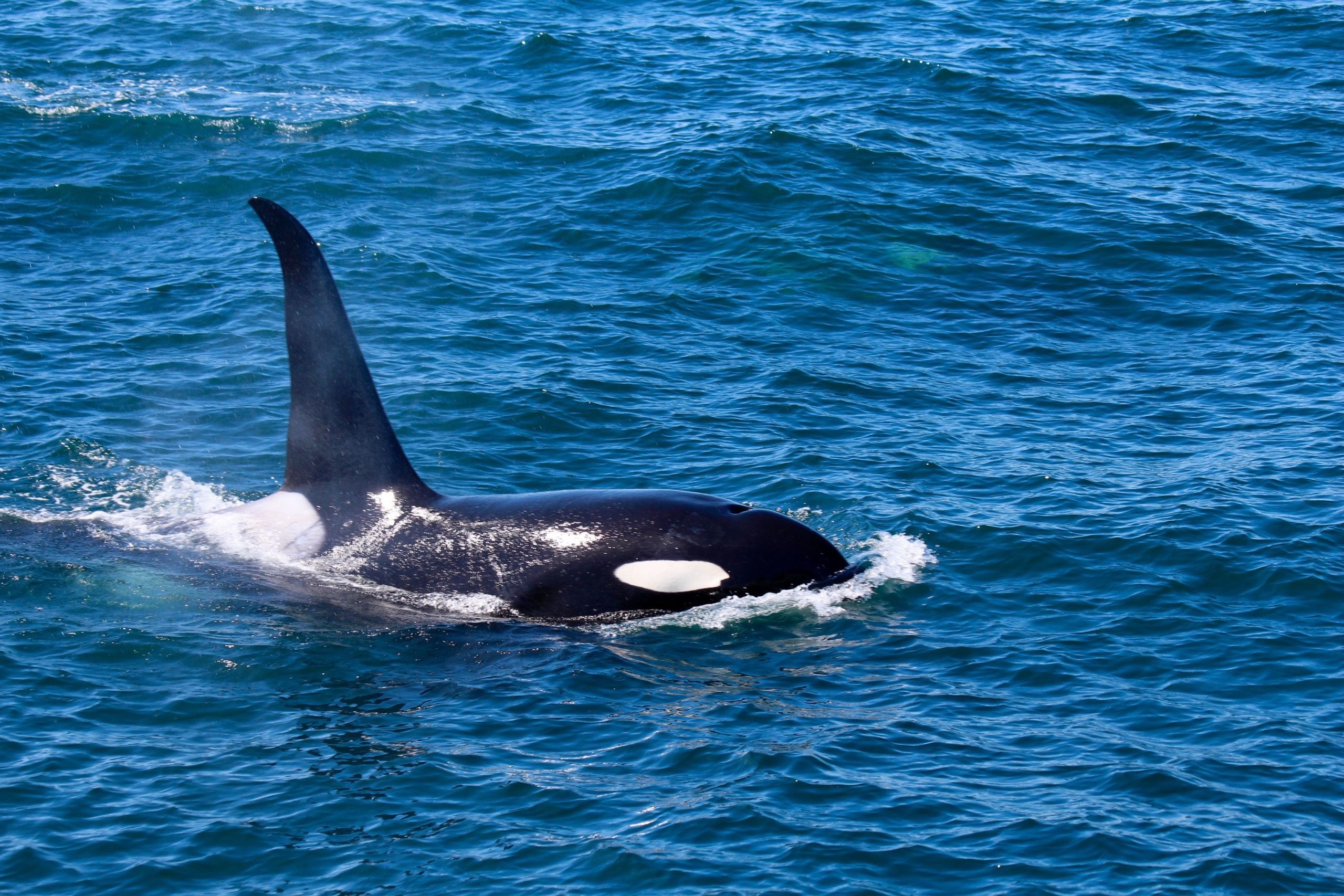 Alaska Road Trip AnotherWorldAdventures Infinite Adventures (7)