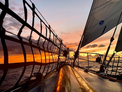 Adventure sailing Pacific Panama Galapagos Seadragon (15)