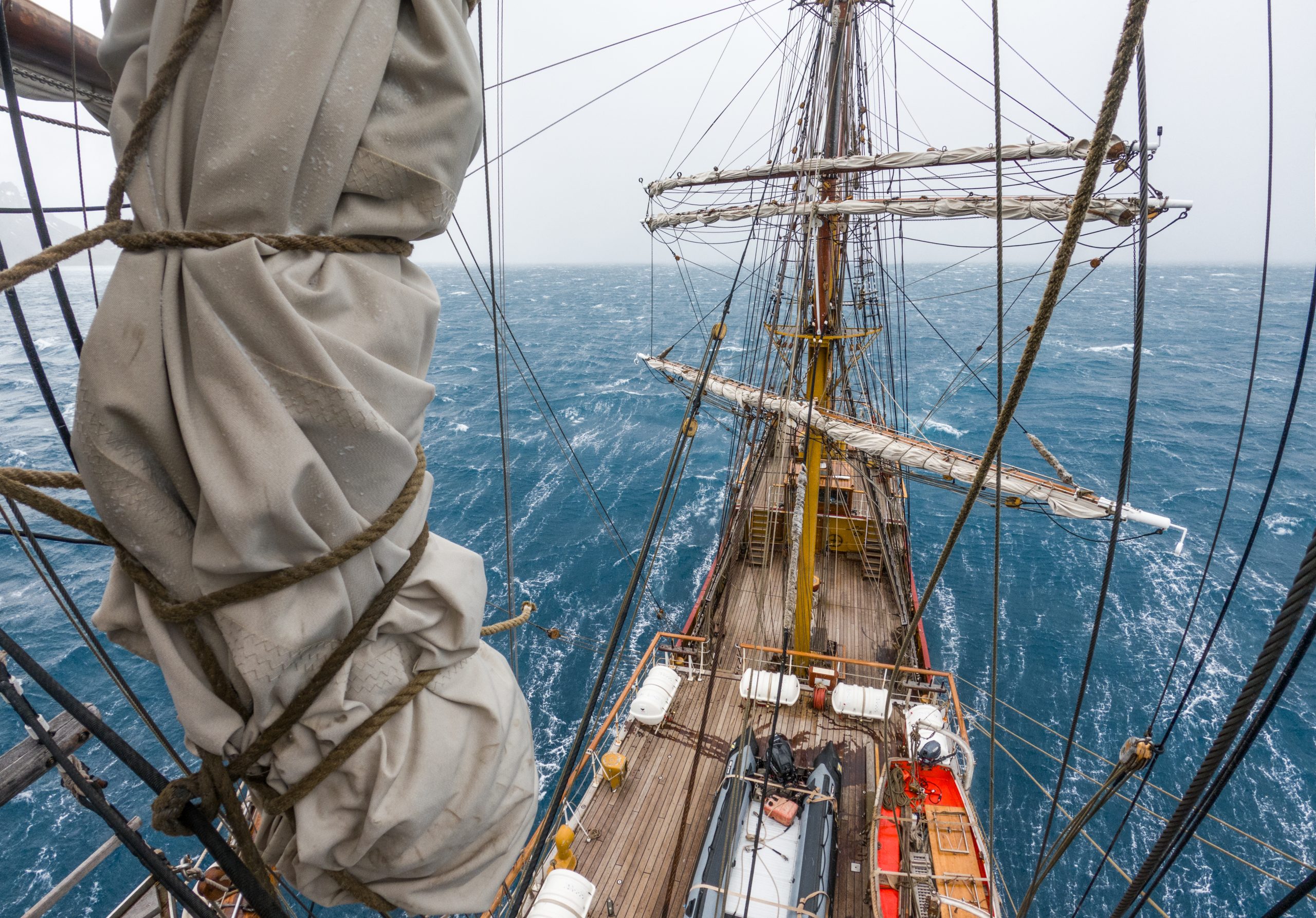 Bark Europa – C:DCIM100GOPROGOPR0943.GPR