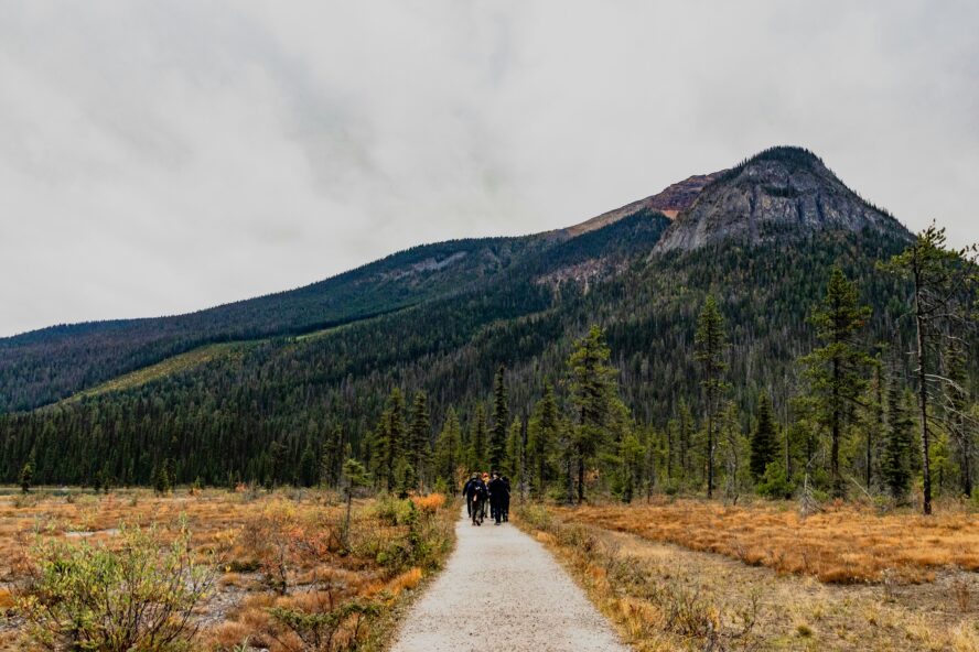 People walk towards a mountain with autumn colours