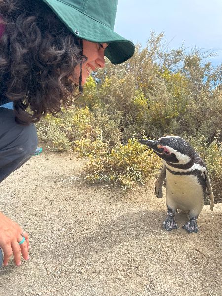 28 Clara Borba de Cerqueira in Pedral Penguin Colony by Luca Vincent (1) (1) (1)
