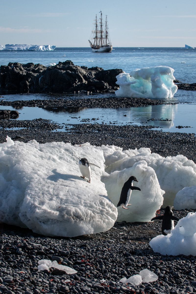 Bark Europa_Jordi Plana Morales_DSC7242-Edit (2)